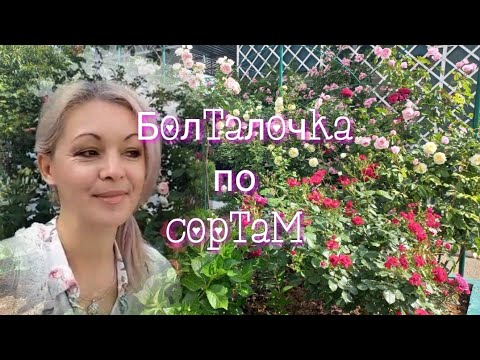 Видео: Vlog-167 Мои сорта роз🌹🌹🌹ИЮНЬ в разгаре, а розы в загаре