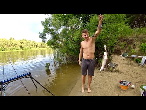 Видео: ЛУЧШАЯ РЫБАЛКА В МОЕЙ ЖИЗНИ НА ДИКОМ ОСТРОВЕ 😱 🎣