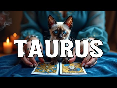 Видео: ТЕЛЕЦ🚨 КОГДА ПРОИЗОЙДЁТ ЭТОТ РАЗГОВОР 💁🏻 ВАША ОДЕЖДА СЛЕТЕТ!! ЛЮБЛЮ ГАДАНИЕ НА ТАРО