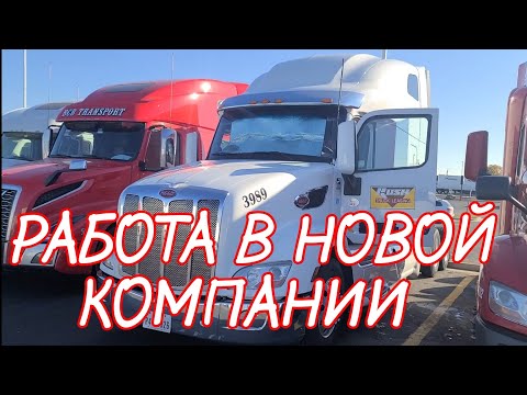 Видео: ЛЕЧУ В АМЕРИКУ НЕ ОДНА. РАБОТА В НОВОЙ КОМПАНИИ. НОВЫЙ ТРАК PETERBILT 579. ТРАКДРАЙВЕРЫ В США.