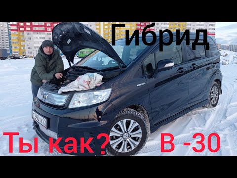Видео: Продлеваем ЖИЗНЬ Двигателя ГИБРИДА 👍 Как заводится?Прогрев салона🤔