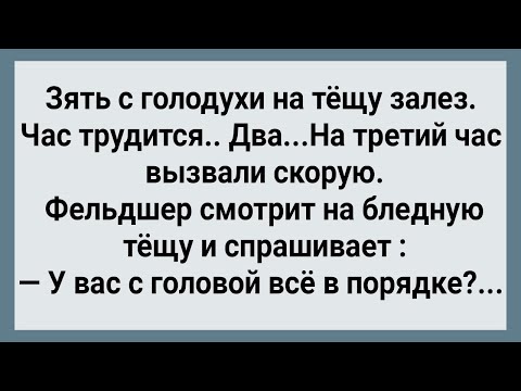 Видео: Зять с Голодухи На Тещу Залез! Сборник Свежих Анекдотов! Юмор!