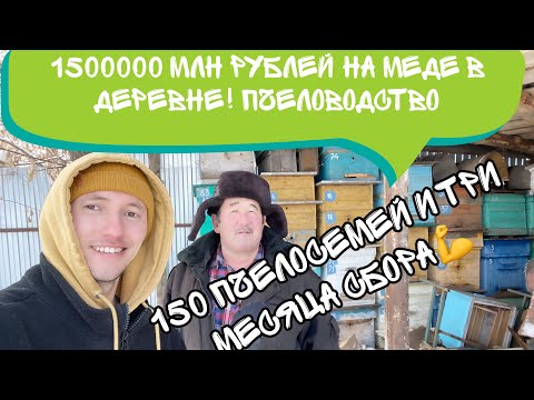 Видео: Пчеловодство как бизнес идея для деревни| самый выгодный бизнес для деревни
