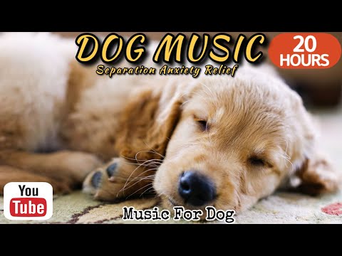 Видео: 20 часов любимой музыки собак🐶💖Музыка для сна собак 🐶🎵 Музыка для снятия беспокойства при разлуке🎵