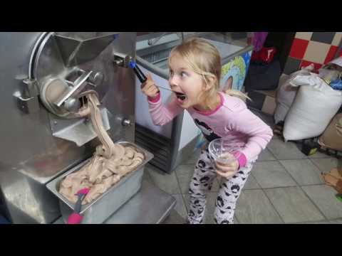 Видео: Gelato Линия мороженого, Frigomat