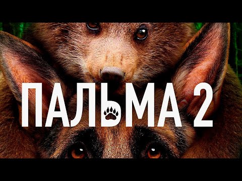 Видео: Осы жолы ПАЛЬМА қаһармандық көрсетіп, Аюдың ҚОНЖЫҒЫНА көмектеседі | Пальма 2 2025 фильм | Кино шолу