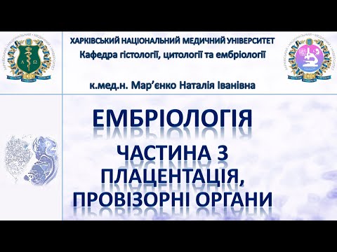 Видео: Ембріологія людини 3. Імплантація, плацентація, провізорні органи