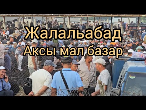 Видео: Бугун 24 июль 2025 Аксы Кара жыгач #малбазар2025 #атбазар #койбазар #жылкыбазар #кымбат #арзан ?