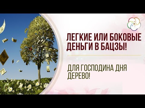 Видео: КАК ПОВЫСИТЬ ДЕНЕЖНУЮ ЭНЕРГИЮ В БАЦЗЫ! Легкие или боковые деньги в Бацзы для Господина Дня Дерево
