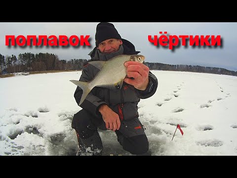 Видео: ПОДЛЕЩ на ИСТРЕ.  ПОПЛАВОК и ЧЕРТИ. Рыбалка в начале декабря.