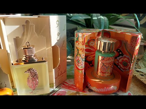 Видео: влог - как утеплиться, новые духи, игрушка для Хвостика