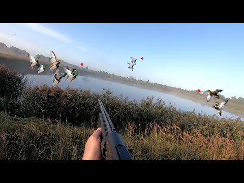 Видео: ОДИНОЧНАЯ ОХОТА С ПОДХОДА НА УТОК ! Подкрался к большой стае уток!