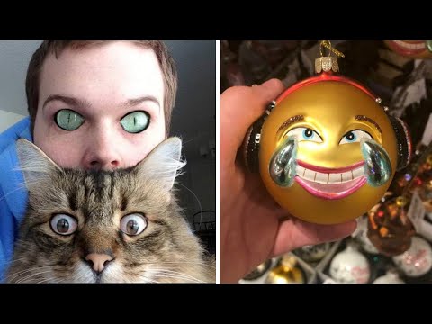 Видео: Забавно до дрожи!