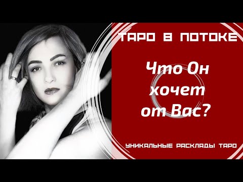 Видео: Что он от Вас хочет?