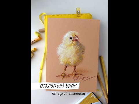 Видео: Мастер-класс по сухой пастели Цыпленок. Уроки сухая и масляная пастель от Юлии Гиргель