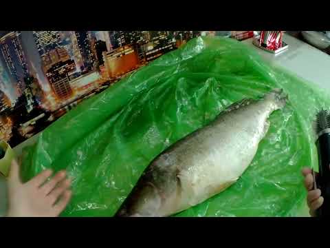 Видео: Рыбочистка аккумуляторная в деле