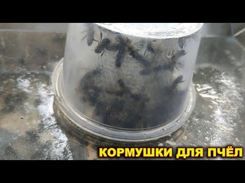 Видео: Кормушки для пчёл.