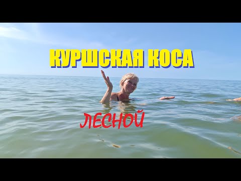 Видео: КУРШСКАЯ КОСА💋Лесное(Элиза Заркау) после шторма распахнула объятия.Янтарный тур от моря до залива.Ч4