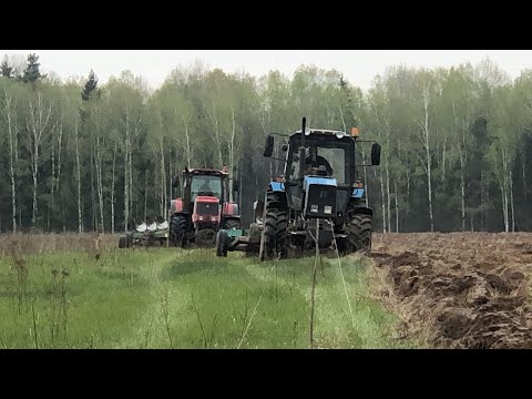 Видео: Вспашка залежных земель / БЕЛАРУС 3022.1, БЕЛАРУС 1221.2 /