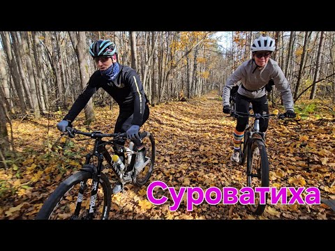 Видео: Пошелестели золотыми листьями. Суроватиха. К истоку Кудьмы.