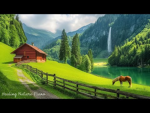 Видео: Целебная музыка и звуки природы 🌿 Снимает стресс, успокаивает тревогу, музыка для глубокого сна