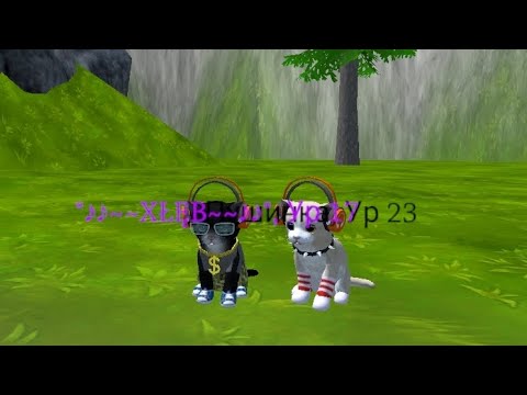 Видео: Гонка с Пушинкой💋 Надеюсь заметит💕