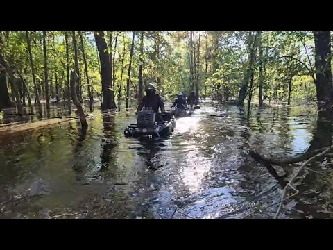 Видео: Покатушка-поплавушка по затопленному лесу 2025.