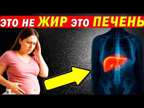 Видео: “Живот растёт НЕ ИЗ-ЗА еды — А из-за ПЕЧЕНИ.
