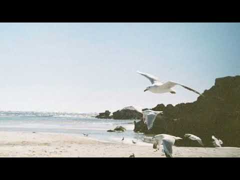 Видео: mona songz - уақыт (speed up)