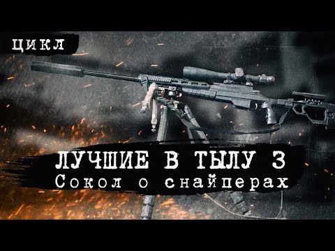 Видео: ЛУЧШИЕ В ТЫЛУ 3: СОКОЛ О СНАЙПЕРАХ