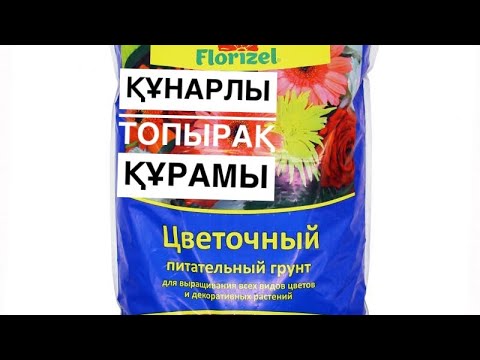 Видео: Көктемде ГҮЛДЕРДІ отырғызуға арналған ҚҰНАРЛЫ ТОПЫРАҚ❗️