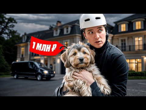 Видео: Я ПОХИТИЛ ДОРОГУЮ СОБАКУ ИЗ ЧУЖОГО ДОМА