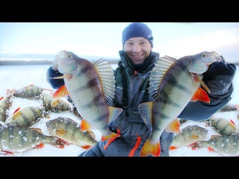 Видео: Поймали 40 килограммов ОКУНЕЙ и ЩУК!  5 дней на воде. Зимняя рыбалка с ночёвкой.