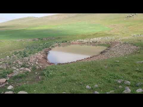 Видео: Уджмана 2023 июль