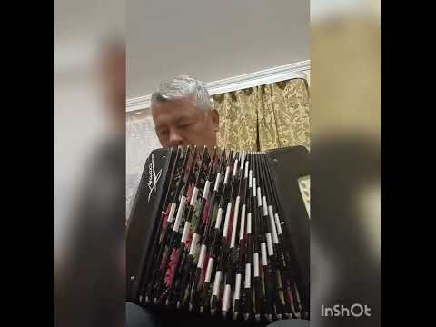 Видео: Исполнитель