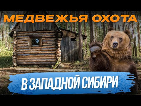 Видео: Медвежья и глухариная охота в Западной Сибири! #охотанаприваде