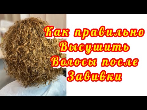 Видео: Как высушить волосы после завивки
