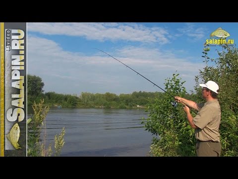 Видео: Как пробить дно фидером и исследовать его структуру [salapinru]