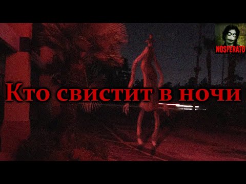 Видео: КТО СВИСТИТ В НОЧИ. Страшные истории на ночь. Страшилки на ночь