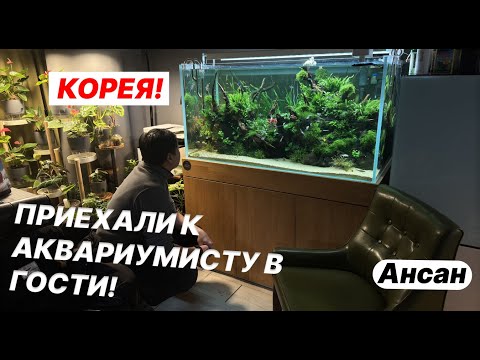 Видео: Съездили в гости посмотреть аквариумы , в Южной Корее (часть 3)