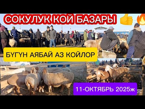 Видео: КОЙ БАЗАР СОКУЛУК МАЛ БАЗАР БУГУН КОЙЛОР АЗКО 11-ОКТЯБРЬ 2025ж