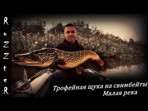 Видео: Трофейная щука на малой реке