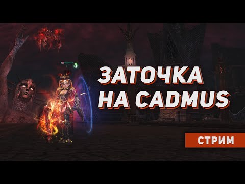 Видео: Заточка на Cadmus. Заточка итемов с боссов \ Рубашка дракона.
