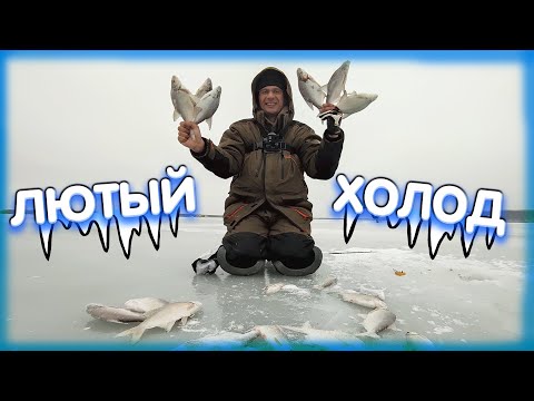 Видео: В лютый холод с летней прикормкой! Дядя Фёдор ломает стереотипы зимней рыбалки!