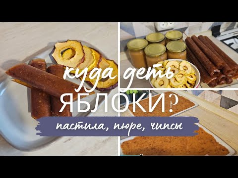 Видео: Ни одно яблоко НЕ ПРОПАДЁТ. Яблочное пюре, пастила без сахара, хрустящие чипсы. ЯБЛОКИ НА ЗИМУ