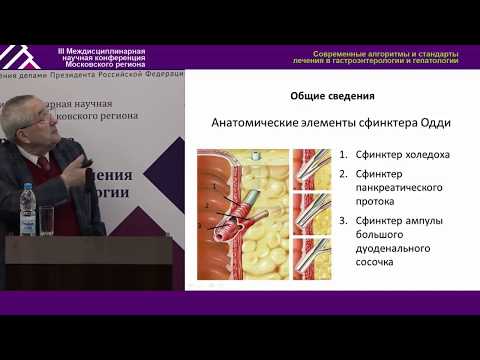 Видео: Билиарная дисфункция в свете рекомендаций Рим IV: диагностика, лечение