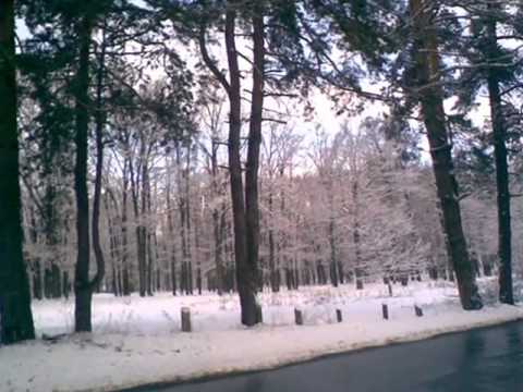 Видео: Родной Виноградарь!