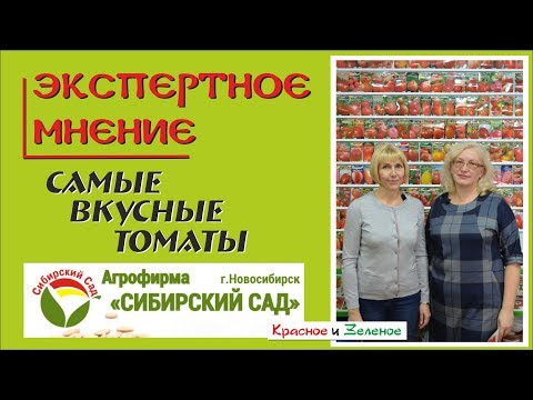 Видео: Томаты от "Сибирского сада". Самые ВКУСНЫЕ сорта.