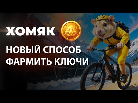 Видео: Hamster Kombat пробивает дно. Теперь для ключей нужно смотреть тонну рекламы.