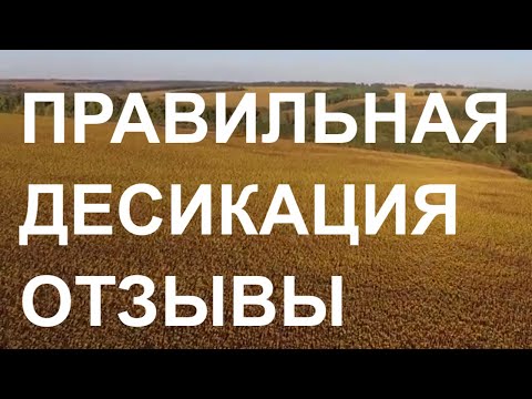 Видео: Почему важно проводить десикацию? Что нужно учитывать при выборе препарата?
